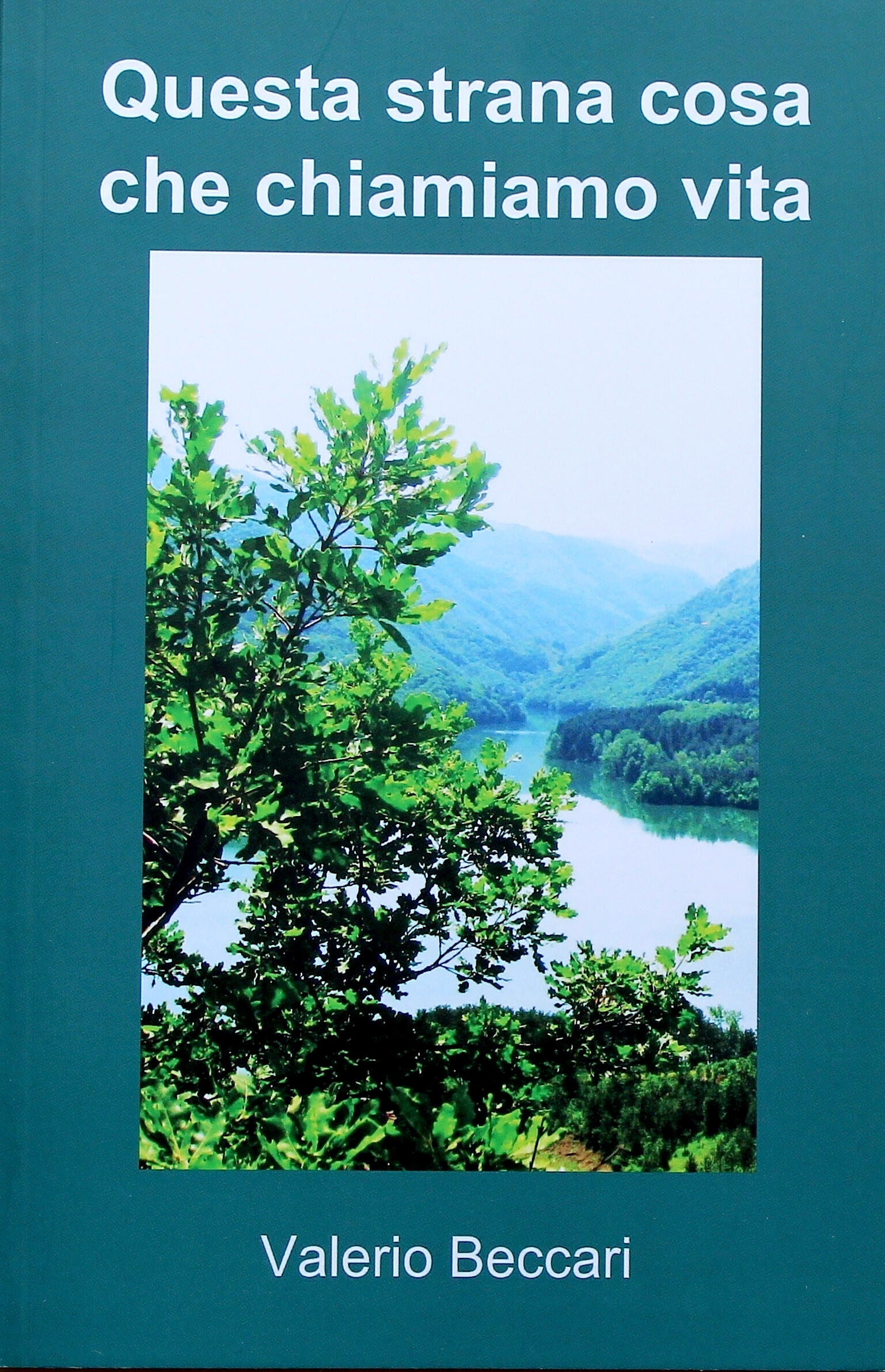 Questa strana cosa che chiamiamo vita